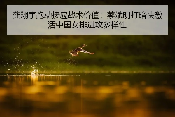 龚翔宇跑动接应战术价值：蔡斌明打暗快激活中国女排进攻多样性