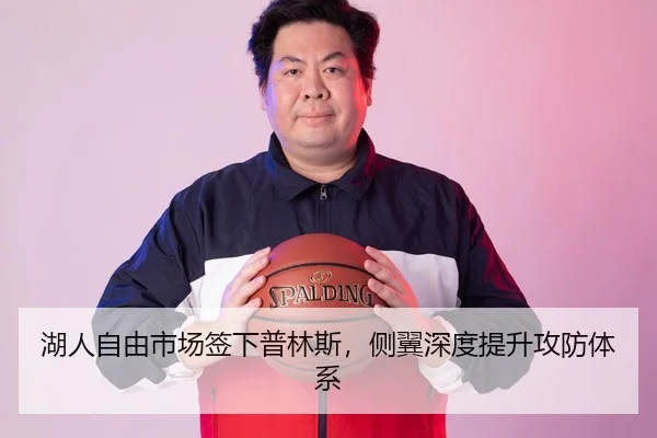 湖人自由市场签下普林斯，侧翼深度提升攻防体系