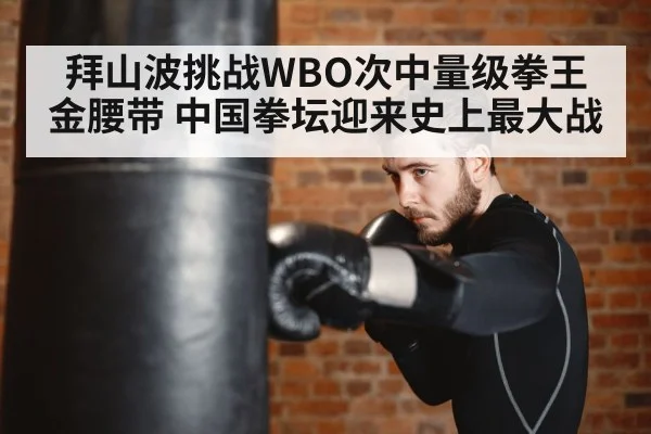 boxer training punching bag